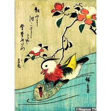 Utagawa Hiroshige: Oshidori — おしどり - Japanese Art Open Database