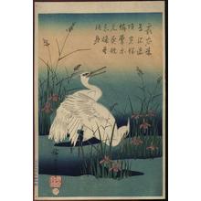 Utagawa Hiroshige: Shirasagi (Snowy Heron)- repro - Japanese Art Open Database
