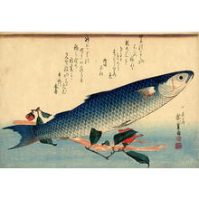 Utagawa Hiroshige: Unknown title — 魚づくしより ぼらにうど - Japanese Art Open Database