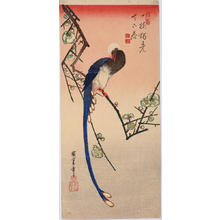歌川広重: White Plum and Jutaicho — 白梅に寿帯鳥 - Japanese Art Open Database