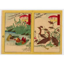 三代目歌川広重: Narcissus and Mandarin duck etc. - Japanese Art Open Database