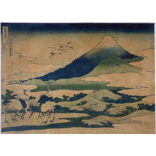 Katsushika Hokusai: Umezawa in Sagami Province — 相州梅沢左 - Japanese Art Open Database