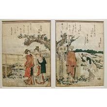 葛飾北斎: Two Ladies and a Man Observing a Large Cherry Tree - Japanese Art Open Database