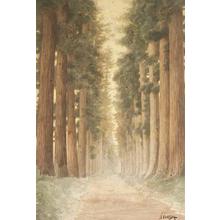 Ishida S: Road Bordered by Coast Redwoods - Japanese Art Open Database