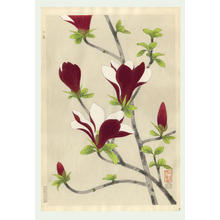 Ito Nisaburo: Magnolia - Japanese Art Open Database