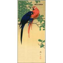 Ito Sozan: Blue and Red Macaws - Japanese Art Open Database