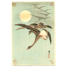 Ito Sozan: Homing Geese - Japanese Art Open Database