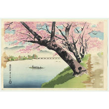 Jubei Kanei: Cherry Trees at Seta Riverbank — 瀬田桜 - Japanese Art Open Database