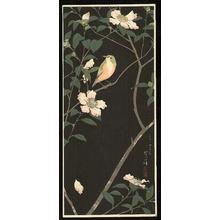 笠松紫浪: Bird and Flower - Japanese Art Open Database