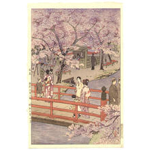 笠松紫浪: Cherry Blossom Viewing- Tokyo Ohmiya Hachiman - Japanese Art Open Database