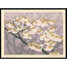 Kasamatsu Shiro: UT- cherry trees - Japanese Art Open Database