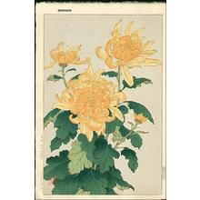 Kawarazaki Shodo: Chrysanthemum 1 - Japanese Art Open Database