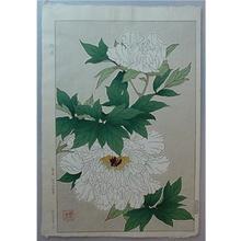 Kawarazaki Shodo: White Peonies - Japanese Art Open Database