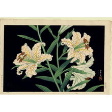 Kawase Hasui: Lilies against a deep black background - Japanese Art Open Database