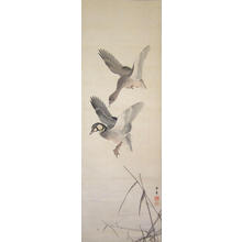 Imao Keinen: Flying wild ducks near the cold riverside - Japanese Art Open Database