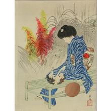 Takeuchi Keishu: A frontispiece of a novel, 1912 - Japanese Art Open Database