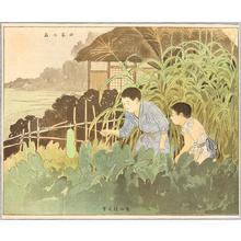 Takeuchi Keishu: Looking for Insects - Japanese Art Open Database