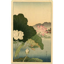 古峰: A Frog on Lotus Leaf - Japanese Art Open Database