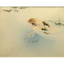 Konen Uehara: Koi- Japanese carp - Japanese Art Open Database