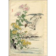 幸野楳嶺: Ducks and Chrysanthemums - Japanese Art Open Database