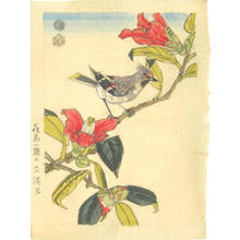 Kotozuka Eiichi: Bird on a branch - Japanese Art Open Database