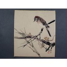Matsubayashi Keigetsu: Sparrow — 雀 - Japanese Art Open Database