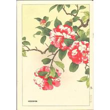 Nishimura Hodo: Camellia - Japanese Art Open Database