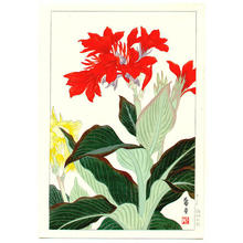 Nishimura Hodo: Canna Lily - Japanese Art Open Database