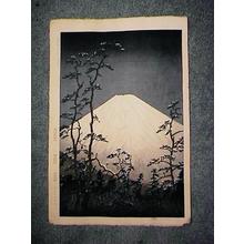 Okada Koichi: Fuji - Japanese Art Open Database
