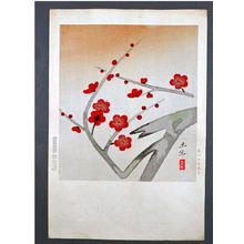 Okumura Togyu: Red-blossomed Plum Tree — 紅梅 - Japanese Art Open Database