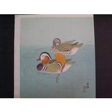 向陽: Ducks — カモ - Japanese Art Open Database