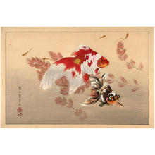 Rakusan Tsuchiya: Goldfish - Japanese Art Open Database