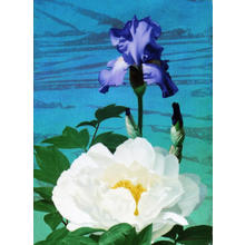 Shimizu Etsuo: Iris -1 — 菖蒲 - Japanese Art Open Database
