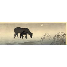 Shoson Ohara: A man washing his horse in shallow water - Japanese Art Open Database
