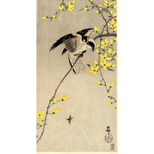 Shoson Ohara: Bird and Insect - Japanese Art Open Database