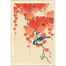 Shoson Ohara: Bird and Red Ivy - Japanese Art Open Database