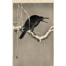 Shoson Ohara: Cawing Crow on Snowy Branch - Japanese Art Open Database