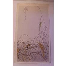 Shoson Ohara: Crickets In Rice - Japanese Art Open Database