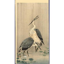 Shoson Ohara: Egrets in Rain - Japanese Art Open Database