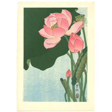 Shoson Ohara: Flowering Lotus - Japanese Art Open Database