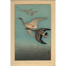 Shoson Ohara: Flying Geese and Reeds - Japanese Art Open Database