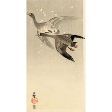 Shoson Ohara: Geese flying in snow - Japanese Art Open Database