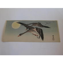 Shoson Ohara: Geese in Flight by Moon - Japanese Art Open Database