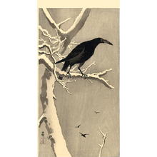 Shoson Ohara: Jungle Crow - Japanese Art Open Database