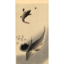 Shoson Ohara: Leaping Carp - Japanese Art Open Database