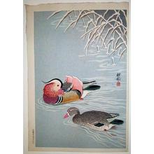 Shoson Ohara: Mandarin Ducks in Snow - Japanese Art Open Database