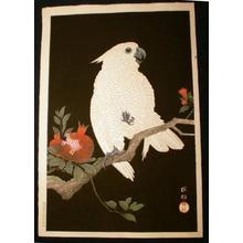 Shoson Ohara: Parrot and Pomegranate- Cockatoo - Japanese Art Open Database