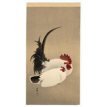 Shoson Ohara: Rooster and Hen - Japanese Art Open Database