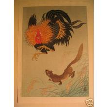 Shoson Ohara: Rooster and Weasel - Japanese Art Open Database