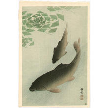 Shoson Ohara: Two Carp and Blooming Water Plants - Japanese Art Open Database